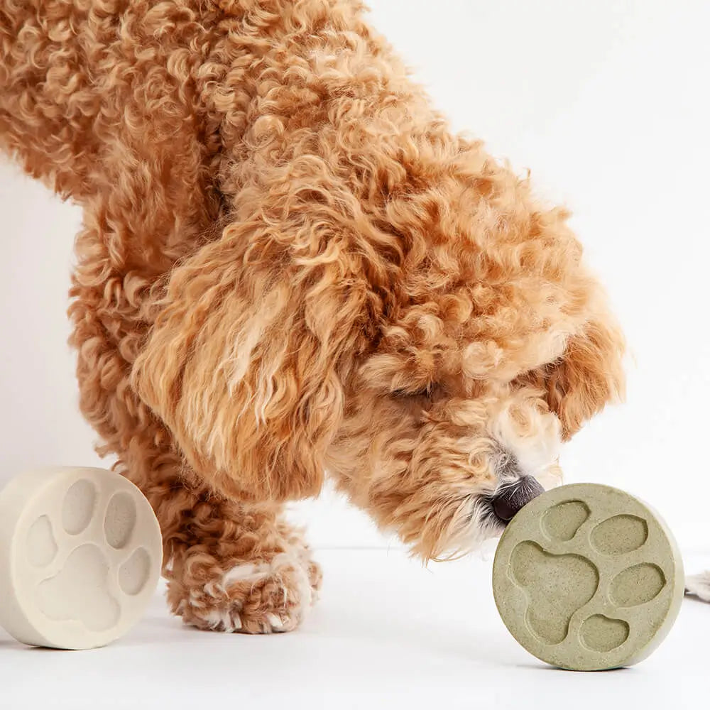 KIND2 Dog Shampoo Bar with dog sniffing