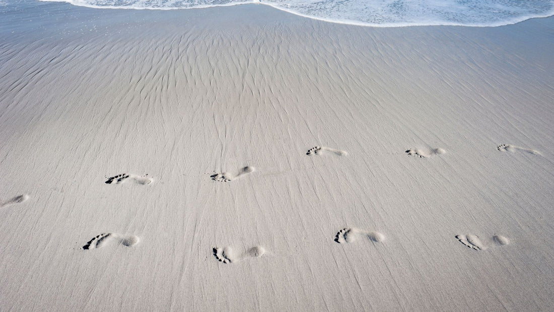 Escaping the corporate world: treading lightly - a new life with a purpose