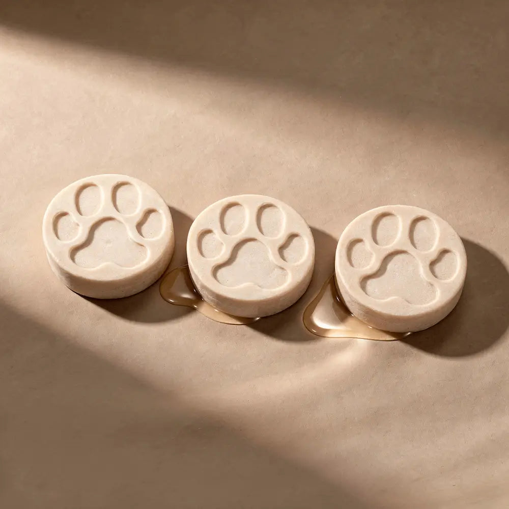 Fragrance Free Dog Shampoo Bar Bundle