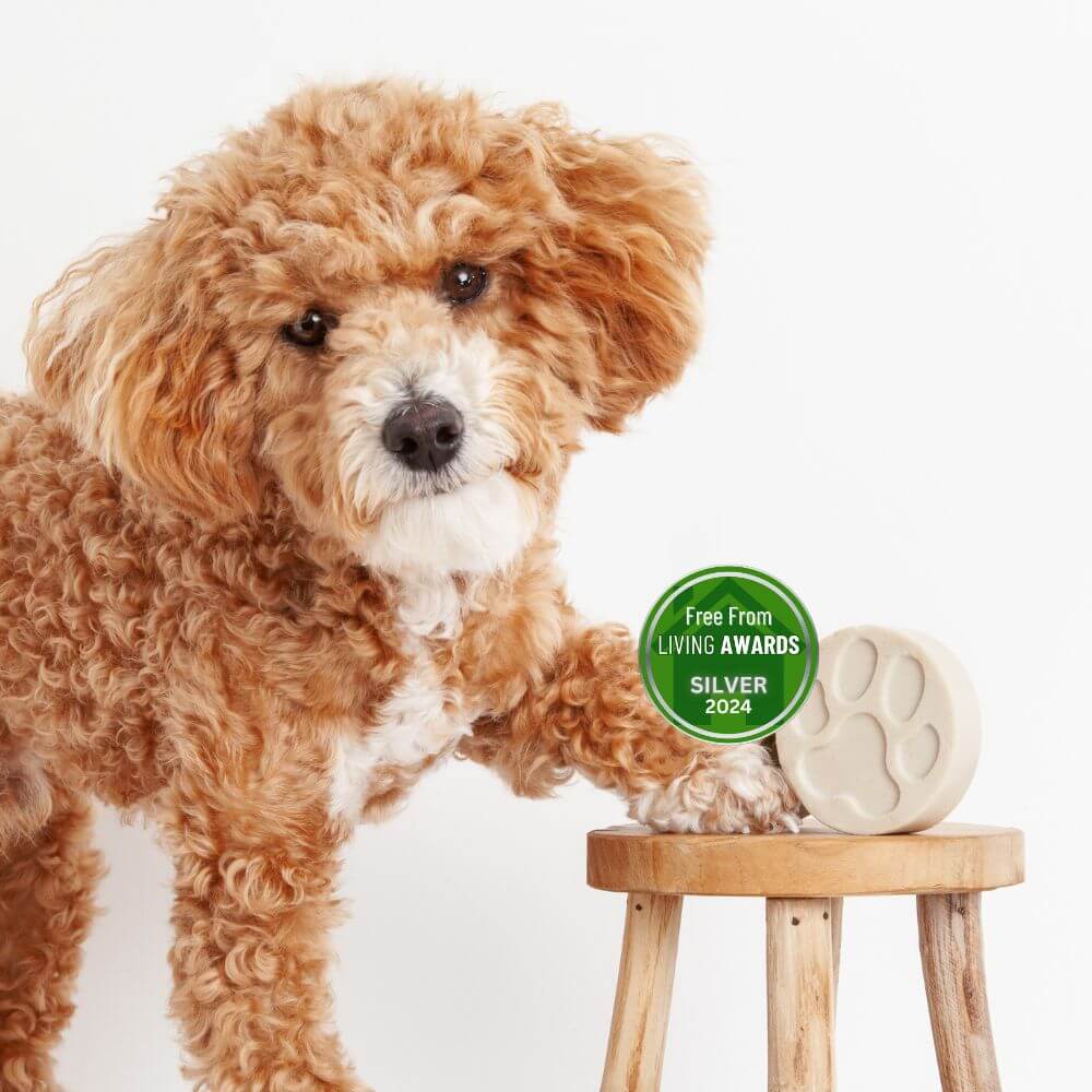 Dog Shampoo Bar with Dog and award medal