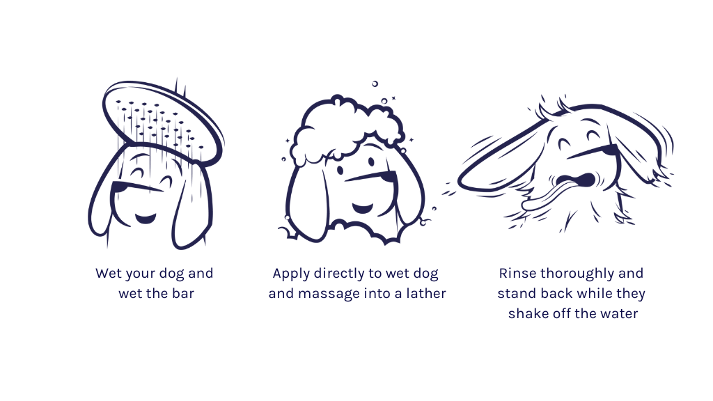 How to use a Dog Shampoo Bar