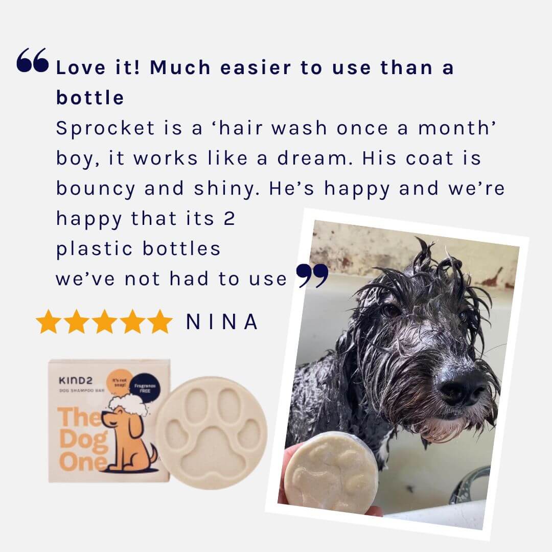 HOT Bathing Can You Give A Puppy Pet Shampoo Can You Give A